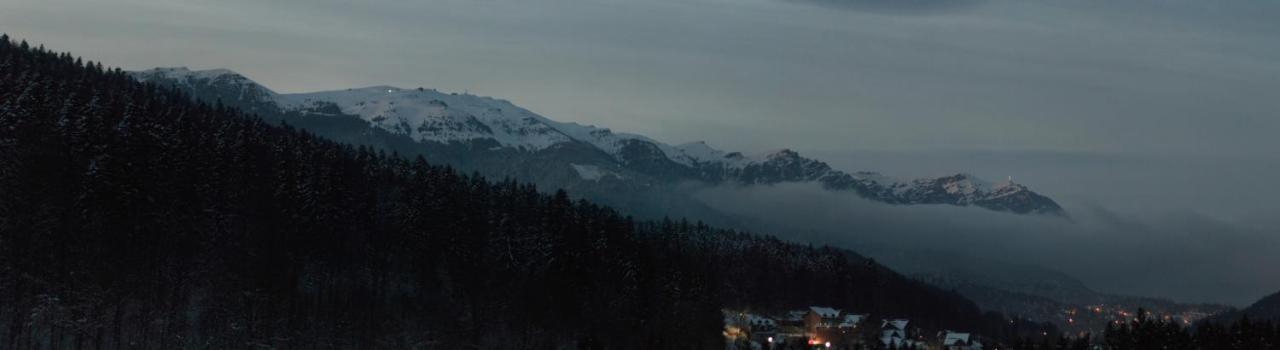 Best View Ap With Parking And 2 Bathrooms Sinaia Dış mekan fotoğraf
