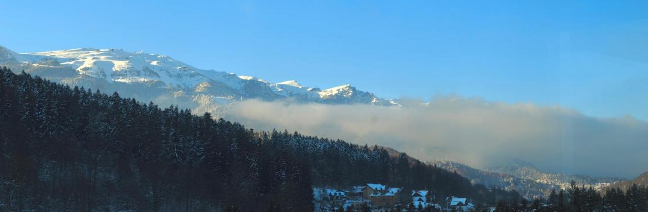 Best View Ap With Parking And 2 Bathrooms Sinaia Dış mekan fotoğraf